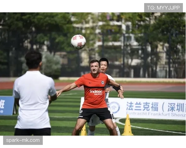 法兰克福足球俱乐部任命新任主教练，开启重建新篇章