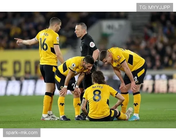 狼队防守稳固,新的防线助力球队竞争力提升明显 狼队防守稳固,新的防线助力球队竞争力提升明显