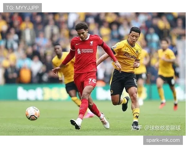 狼队本赛季状态起伏，期待在接下来的比赛中重拾信心和竞争力