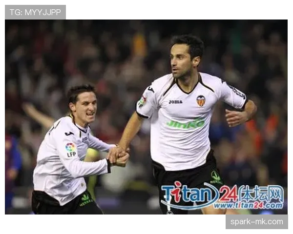 瓦伦西亚球迷抗议持续，俱乐部内部稳定性面临考验